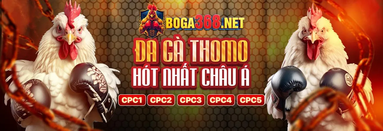 Blog chính thức c54 đăng nhập