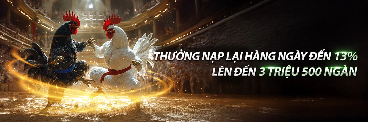 Sảnh Đá Gà Trực Tuyến c54 đăng nhập